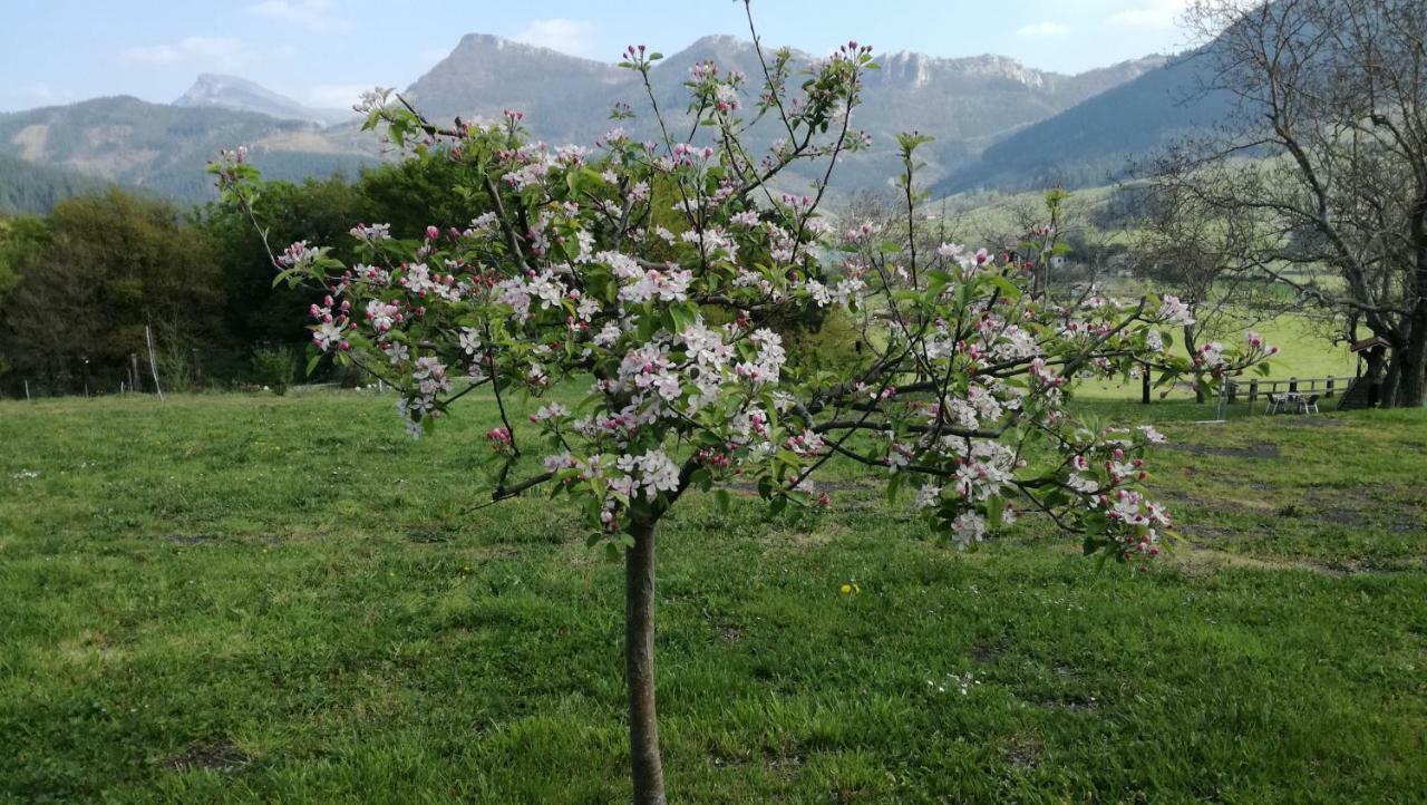 Casa Rural Urkulu Landetxea Arechavaleta Eksteriør billede